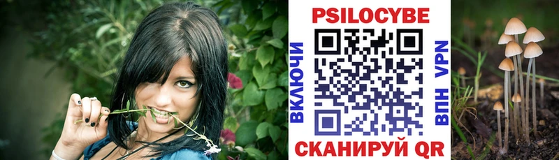 гидра   Луховицы  Галлюциногенные грибы Psilocybine cubensis 