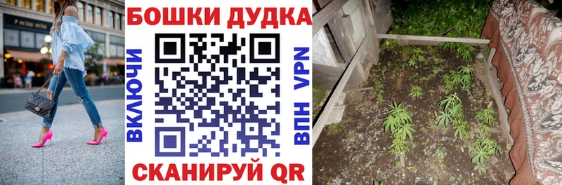 купить Луховицы МАРИХУАНА OG Kush